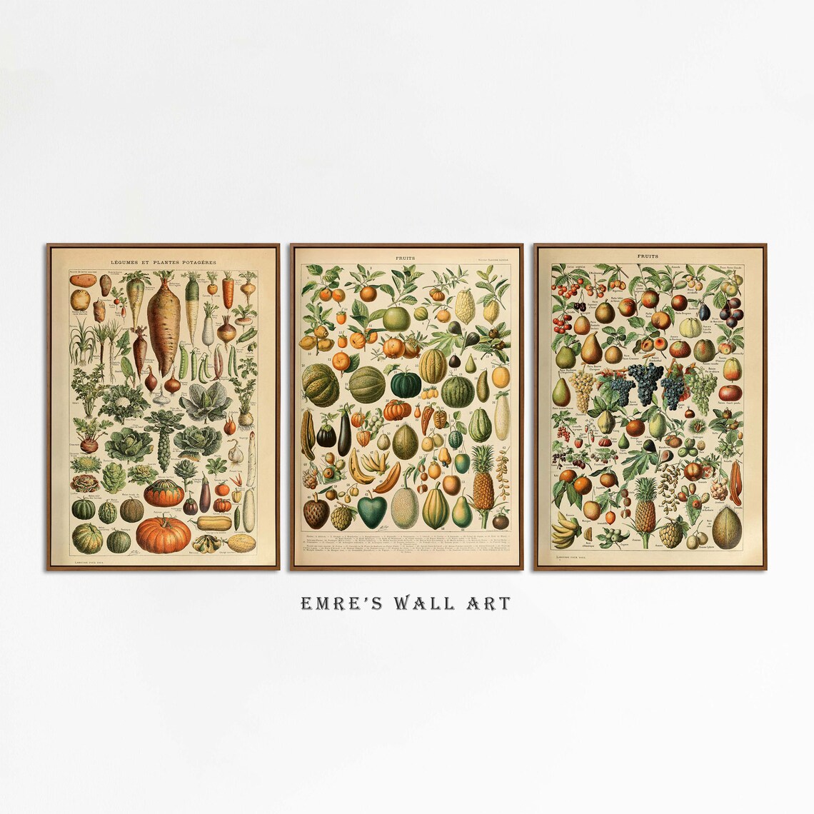 Vintage Fruit And Vegetable Botanical Kitchen Art Print Set