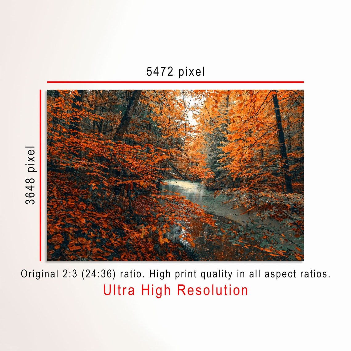 Autumn Forest Photo Orange Beech Leaves Winding Creek Poster - Image 3