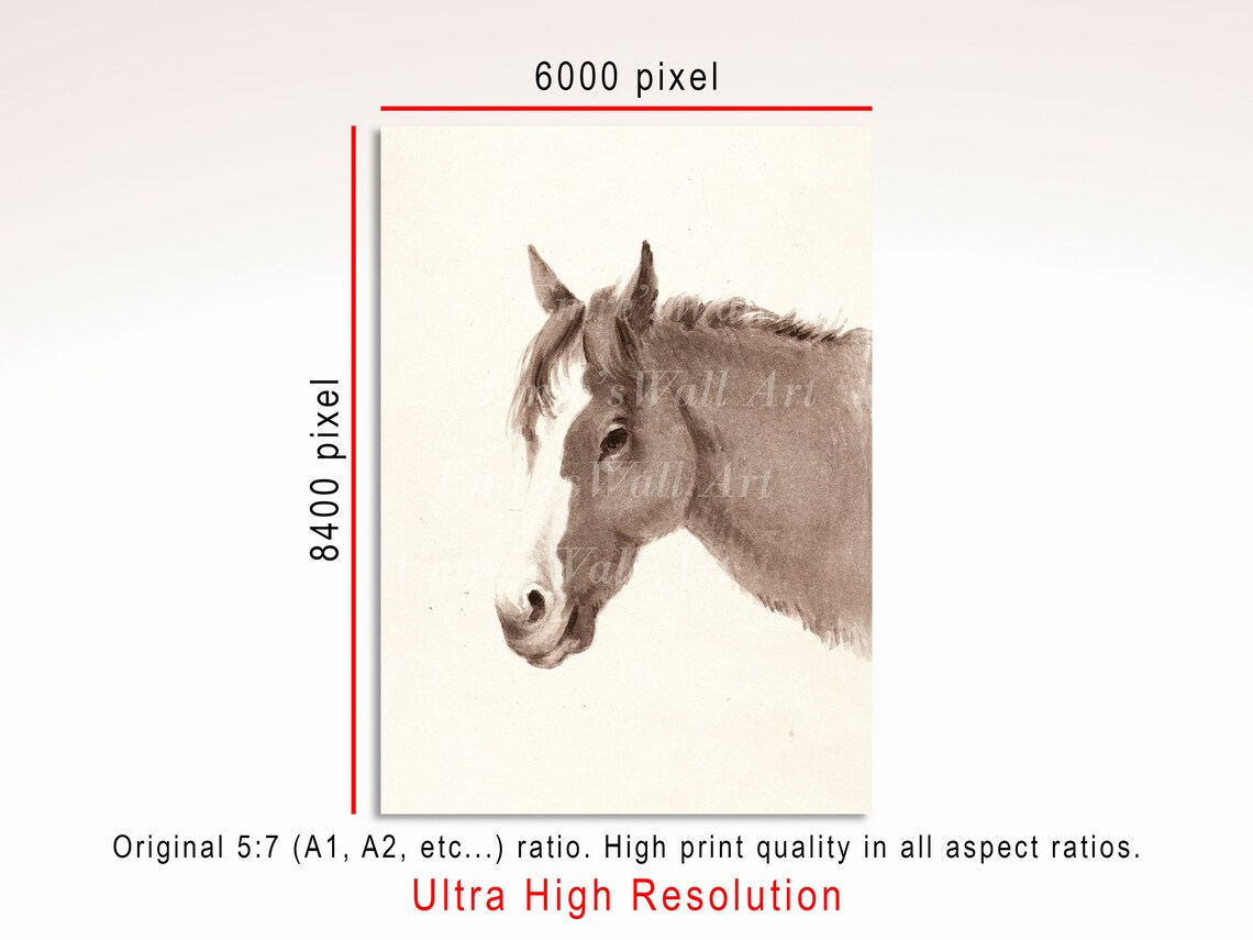 Vintage Horse Sketch Art Print, Farmhouse Decor - Image 3