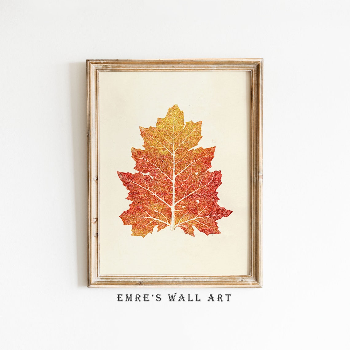 Red Autumn Maple Leaf Botanical Art Vintage Fall Design Poster