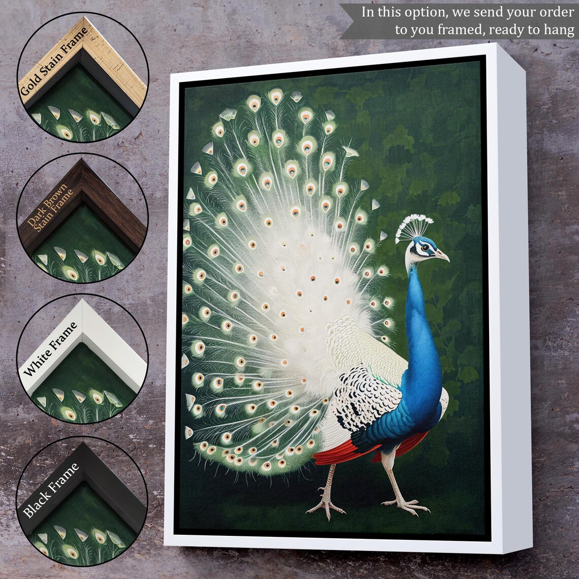 White Peacock Full Tail Fan Elegant Nature Painting Fine Wall Art - Image 3