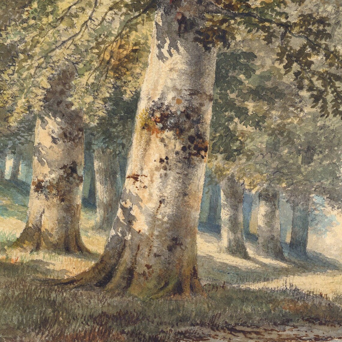 Deer Herd Forest Clearing Stream Antique Wildlife Watercolor Animal Poster - Image 2
