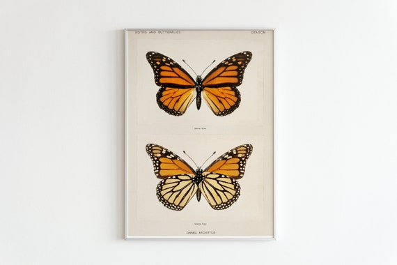 Butterfly Poster Gifts Print Feminist Wall Art Kitchen Children Illustration Summer Swim Poster Retro Vintage Line Drawing