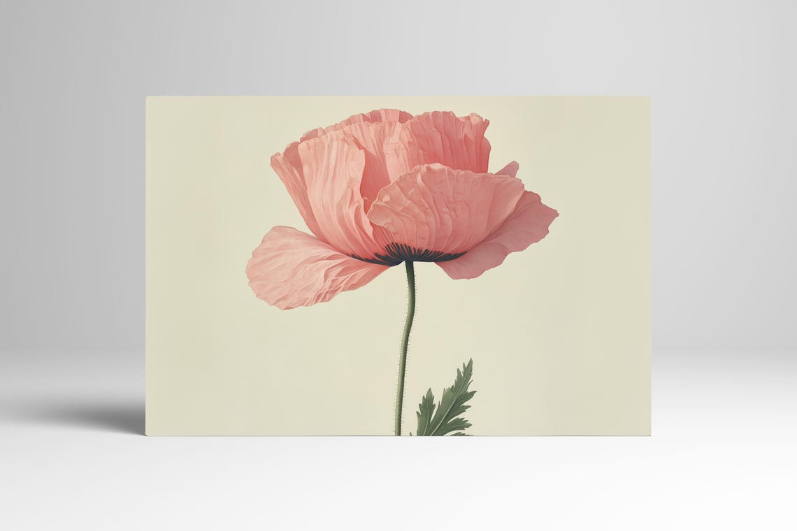 Pink Poppy Flower Botanical Illustration on Cream Paper Poster - Image 3