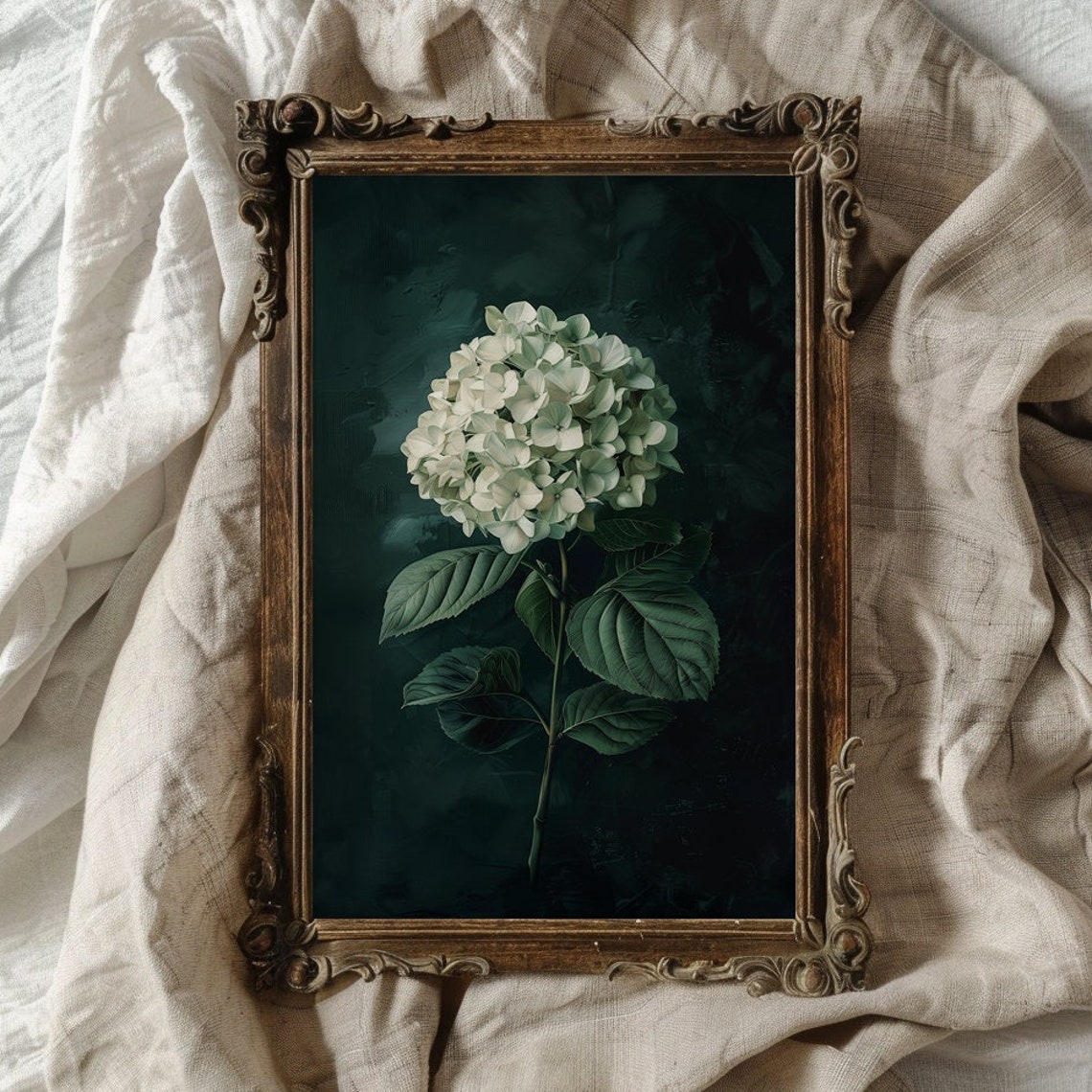 White Hydrangea Bloom Botanical Painting On Dark Background Poster