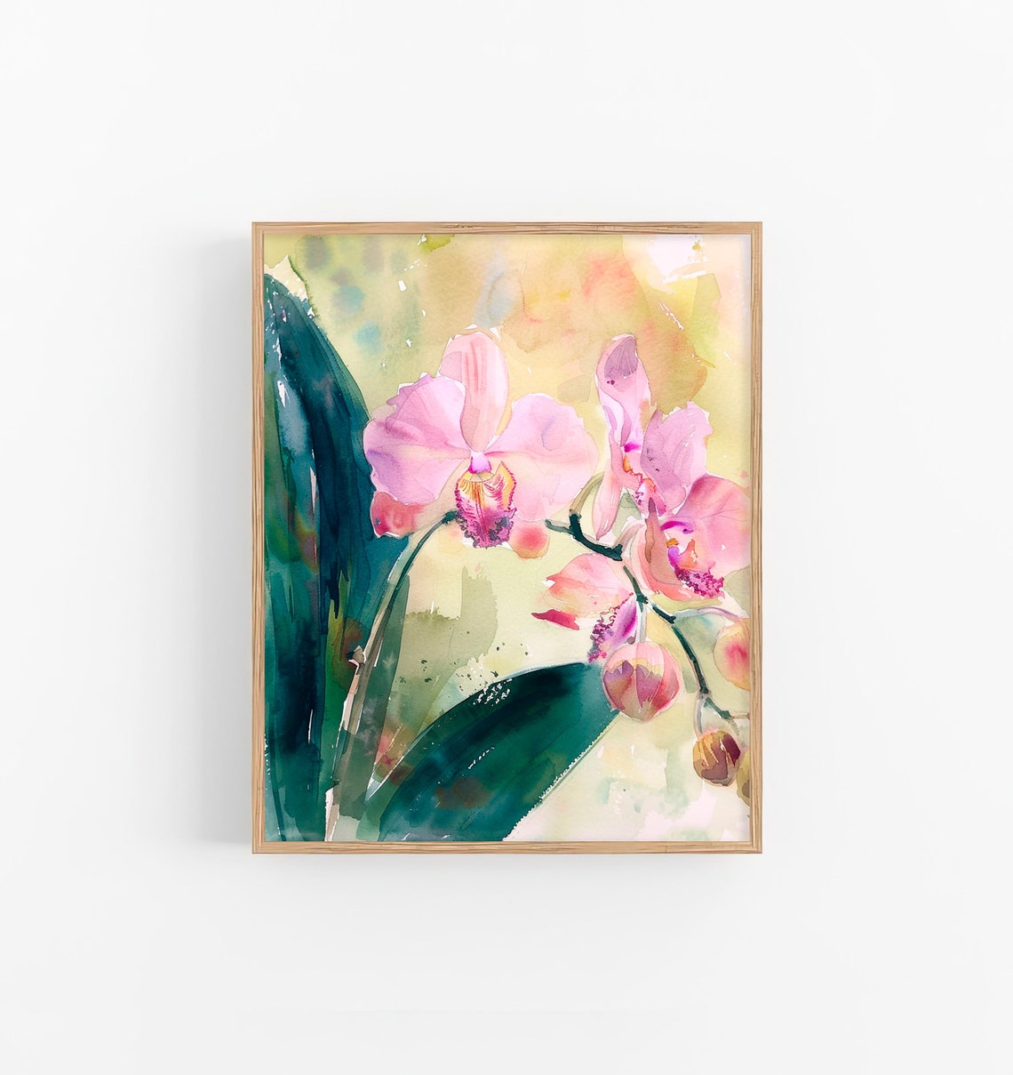 Pink Orchid Watercolor Phalaenopsis Blossom Botanical Art Poster