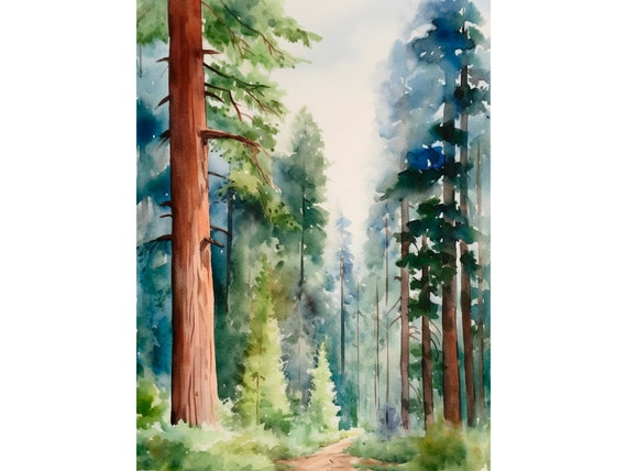 Sequoia National Park Watercolor Art Print Nevada Landscape Painting California Forest Artwork Art Poster Travel Gifts By Feelingprints