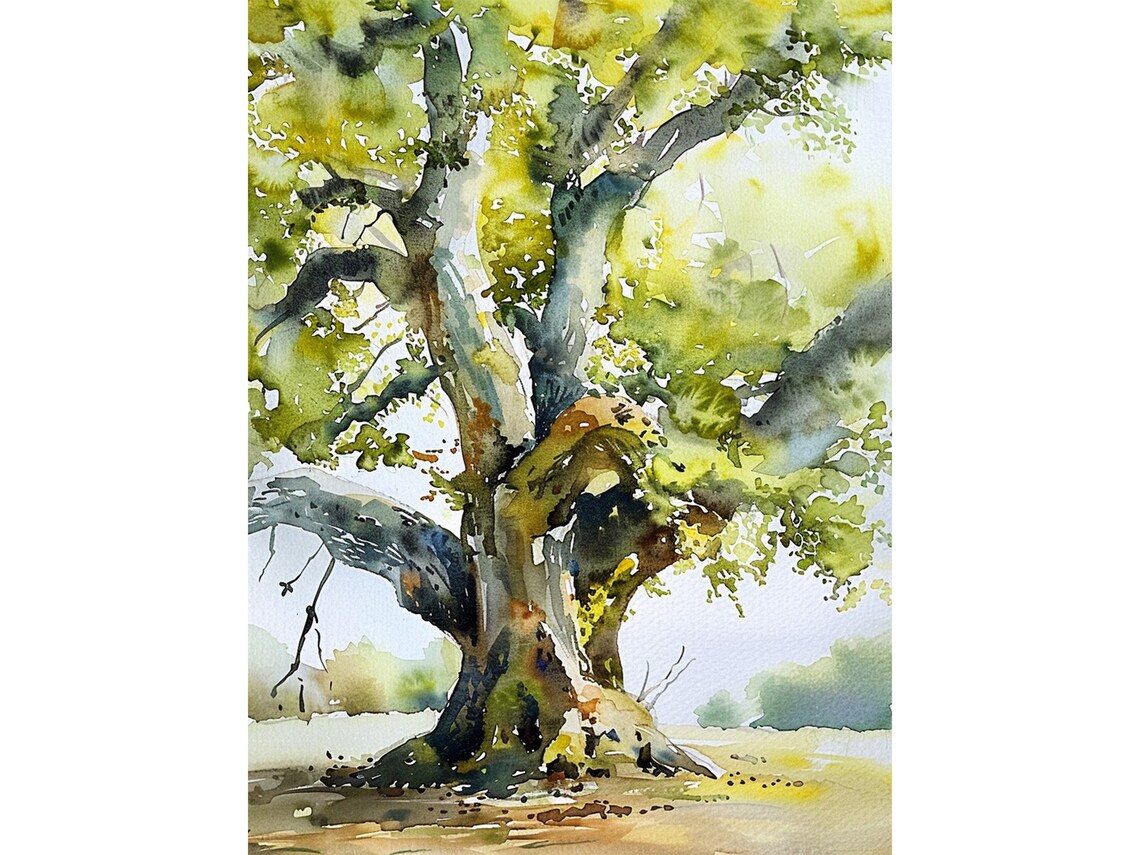 Oak Tree Forest Artwork Travel Poster