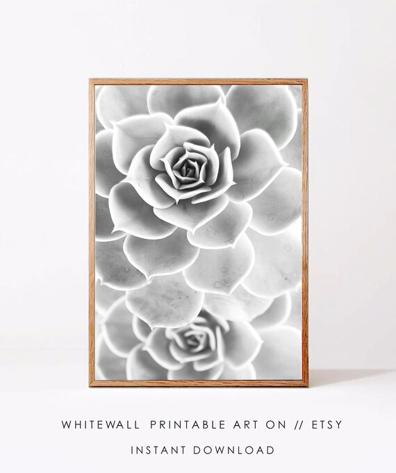 Succulent Print Botanical Wall Art Boho Plant Decor Modern Photography Green Poster