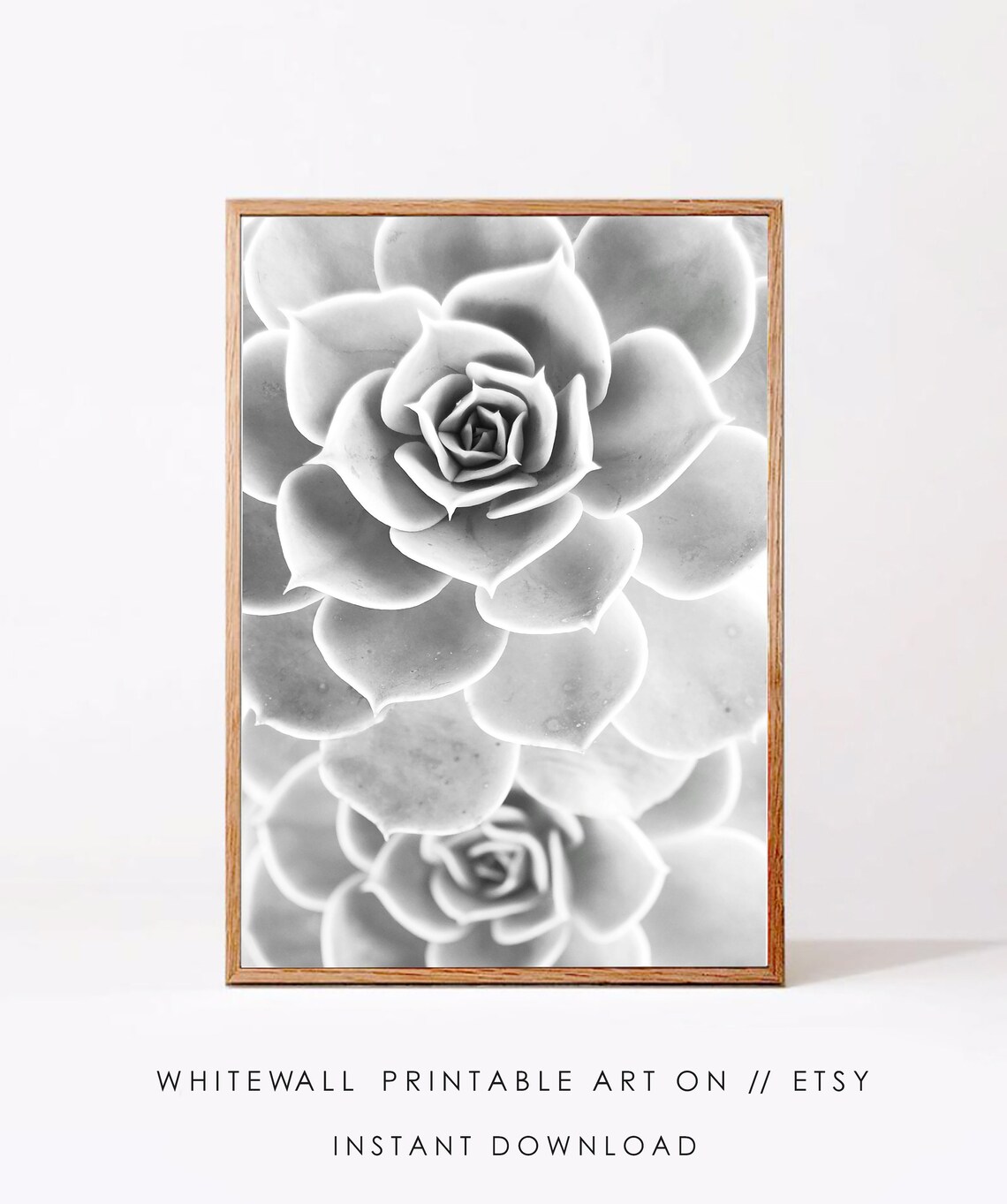 Succulent Print Botanical Wall Art Boho Plant Decor Modern Photography Green Poster