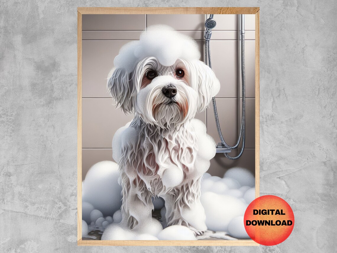 White Maltese Dog Shower Wall Art Cute Puppy Covered in Bubbles Bath Time
