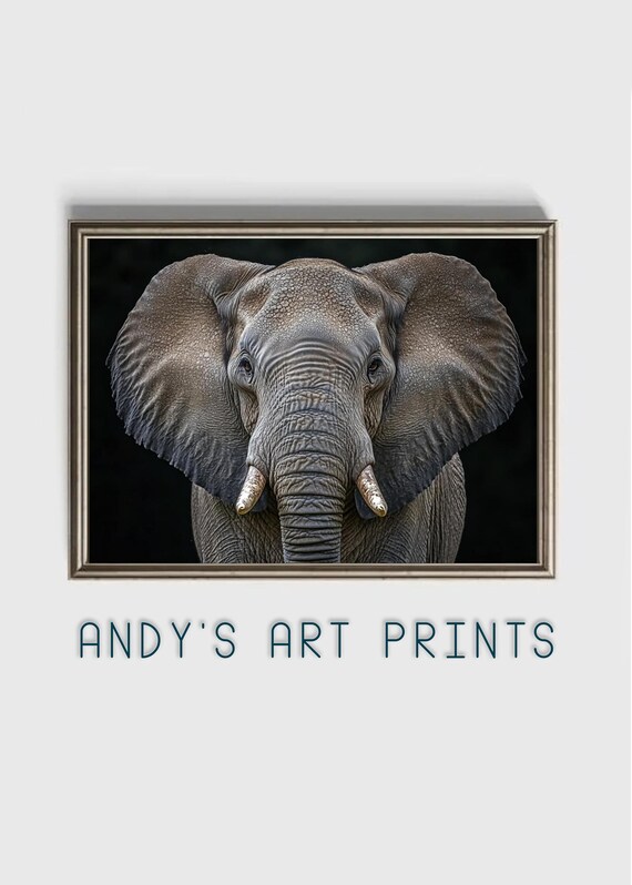 African Elephant Face On Portrait on a Solid Black Background Poster