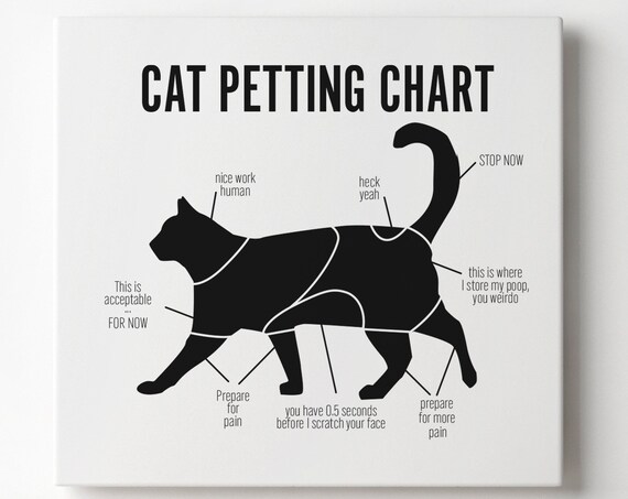 Cat Petting Chart Funny Black Cat Anatomy Diagram Humor Wall Art
