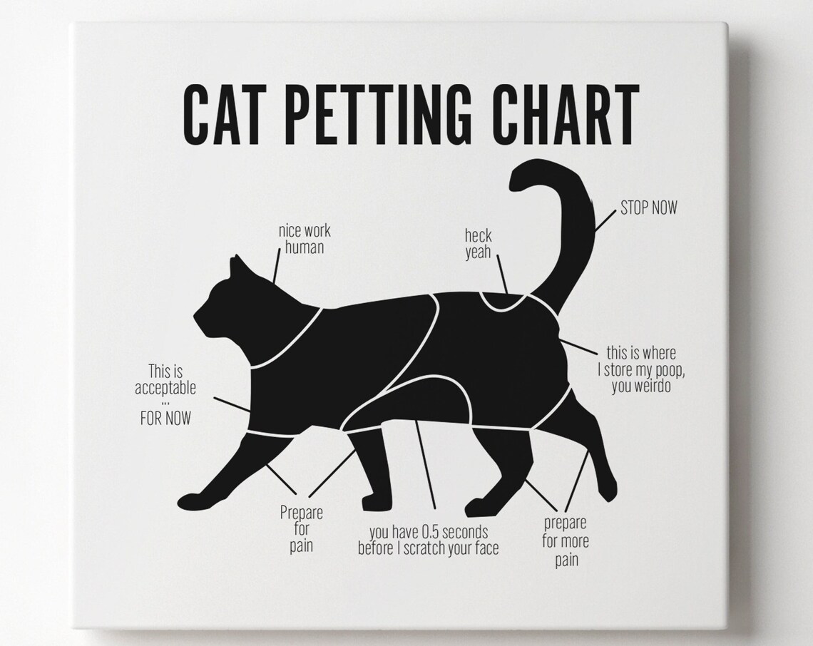 Cat Petting Chart Funny Black Cat Anatomy Diagram Humor Wall Art
