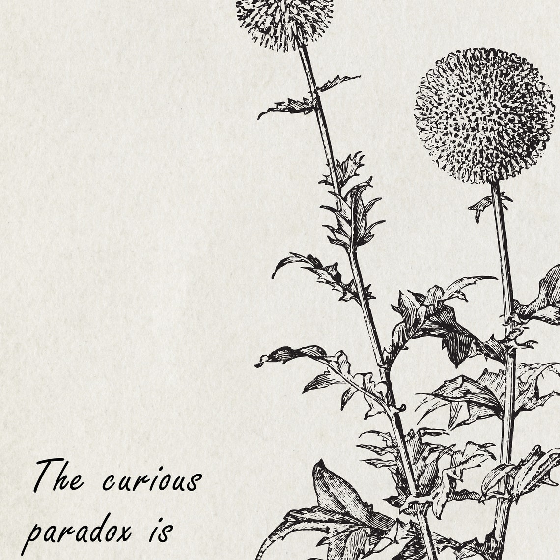Carl Rogers Curious Paradox Accept Myself Thistle Vintage Quote Poster - Image 2