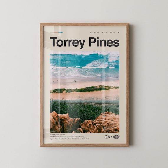 Torrey Pines Ocean Waves Cliffs Beach Overlook San Diego Poster