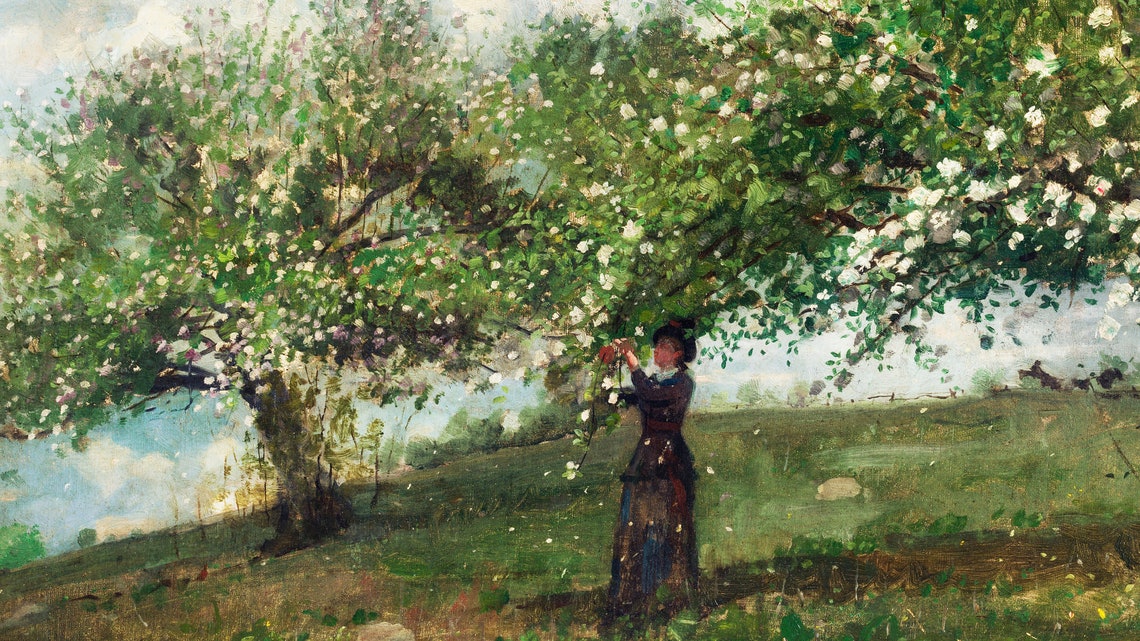 Woman Picking Blossom under a Flowering Tree in Spring Poster - Image 3