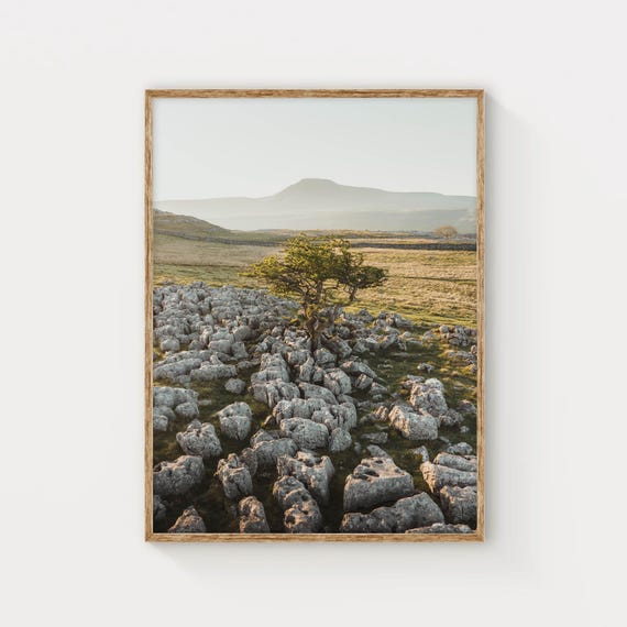 Twistlon Scars Yorkshire Dales England Uk Landscape Photography Wall Art Print Sunrise Wall Decor Nature Gift Ideas