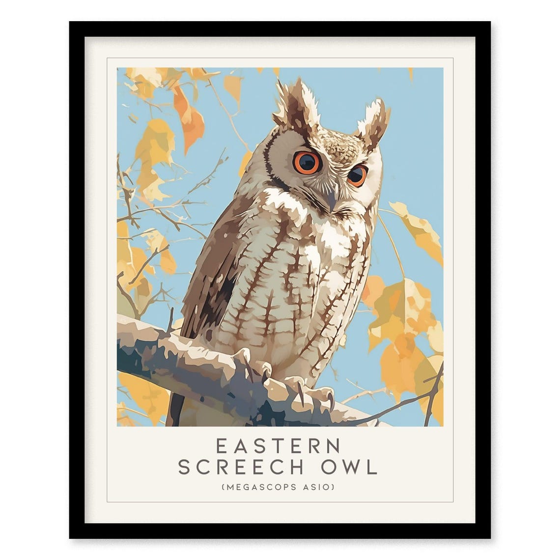 Eastern Screech Owl Autumn Branch Portrait Nature Bird Art Poster