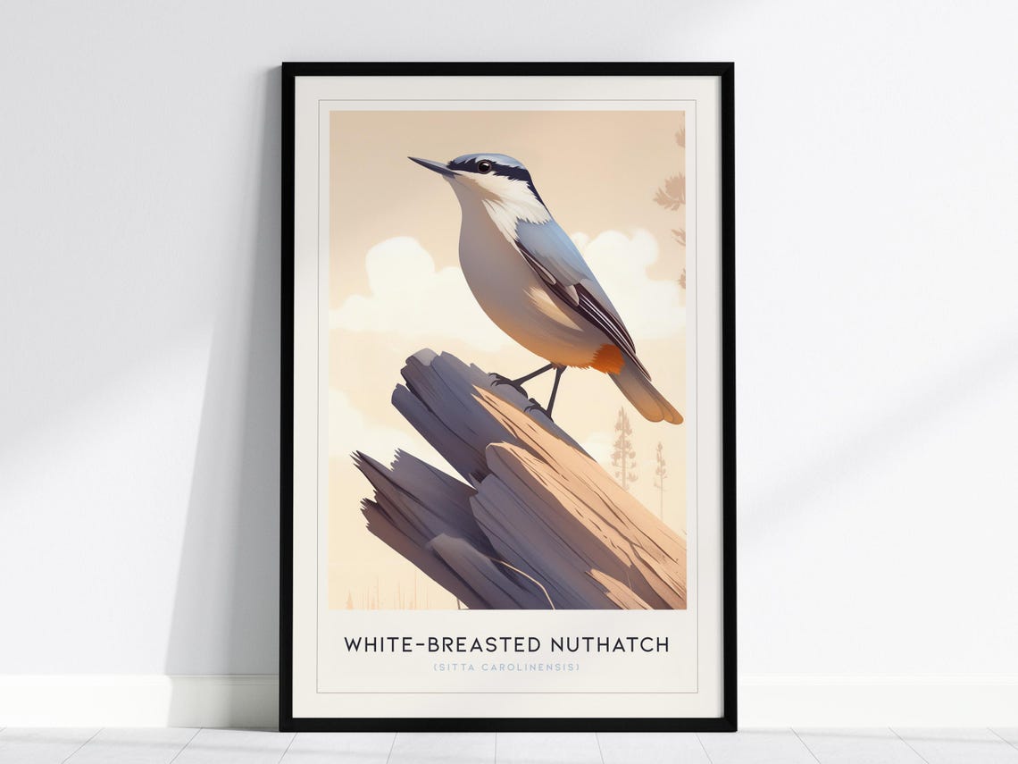 Whitebreasted Nuthatch Art Print Elegant Bird Illustration