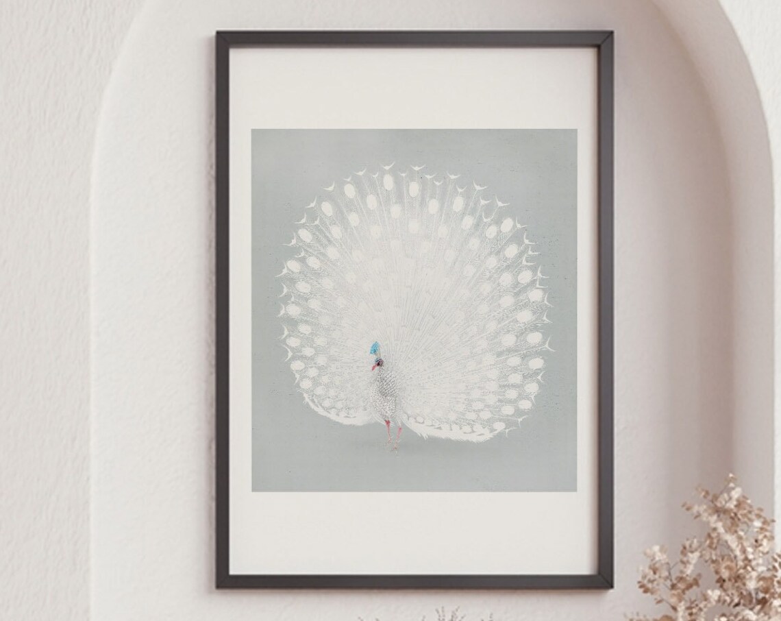 Japanese White Peacock Art Print, Ohara Koson Woodcut
