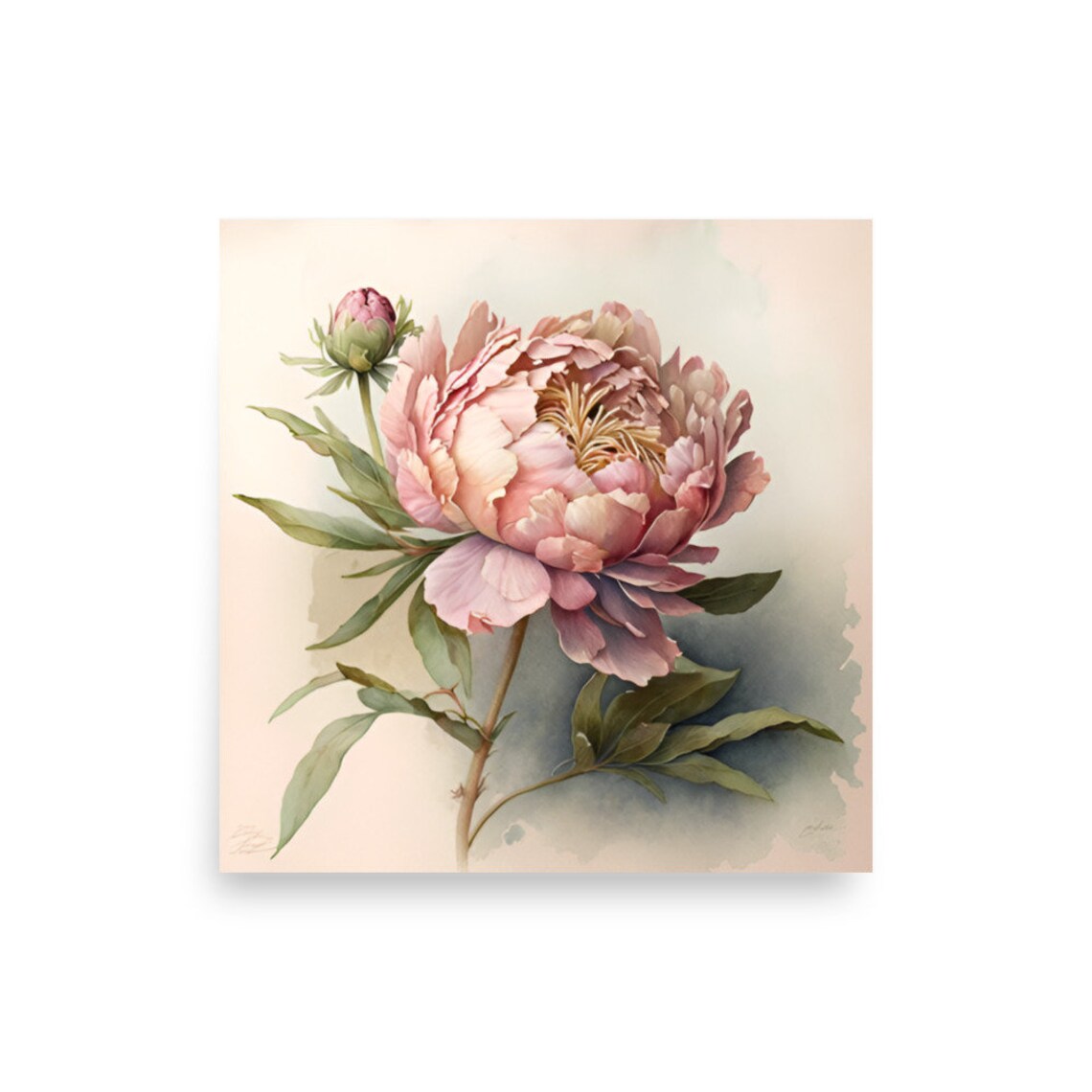 Blush Pink Peony Bloom Ruffled Petals Watercolor Botanical Poster - Image 2