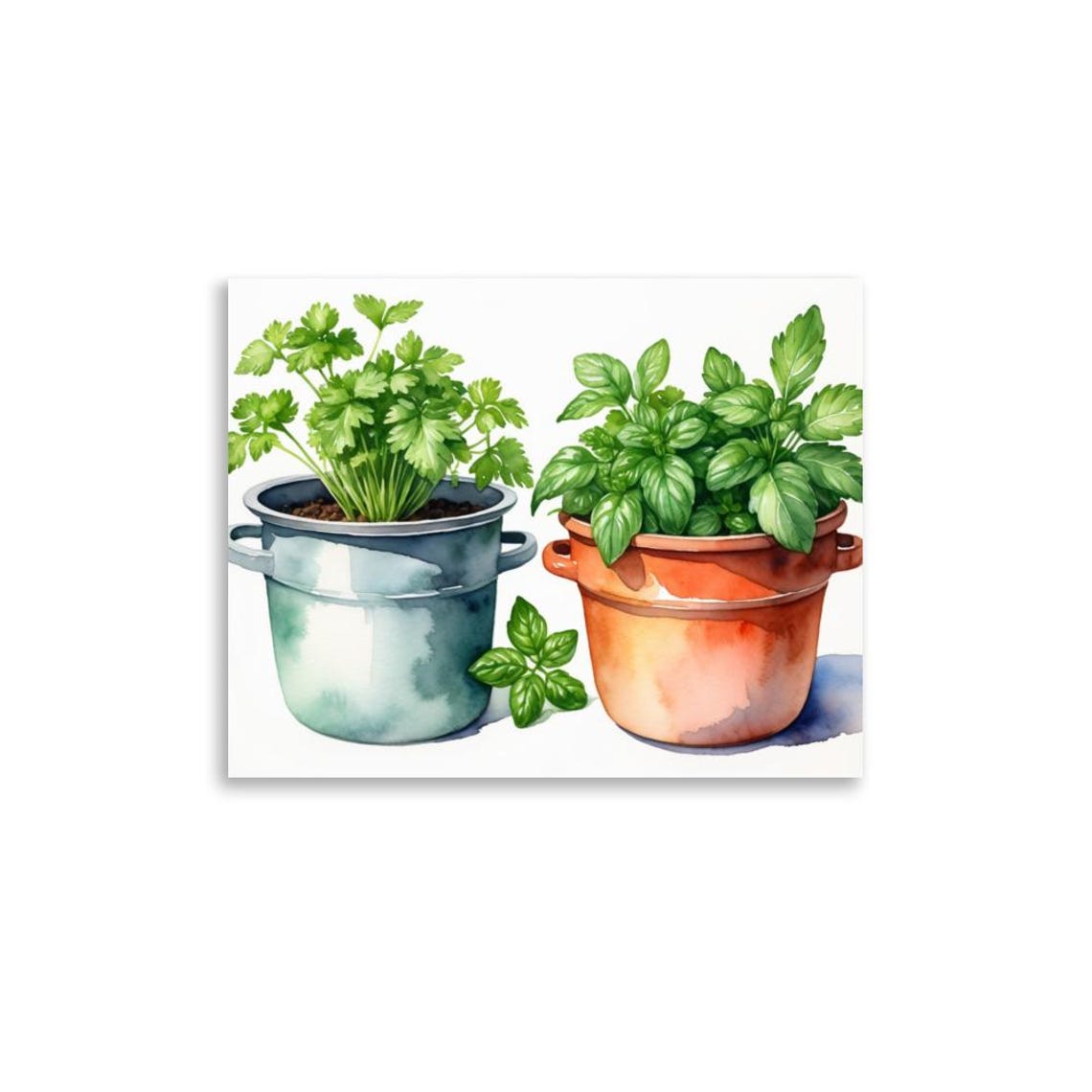 Fresh Basil and Parsley Potted Herbs Watercolor Kitchen Poster - Image 5