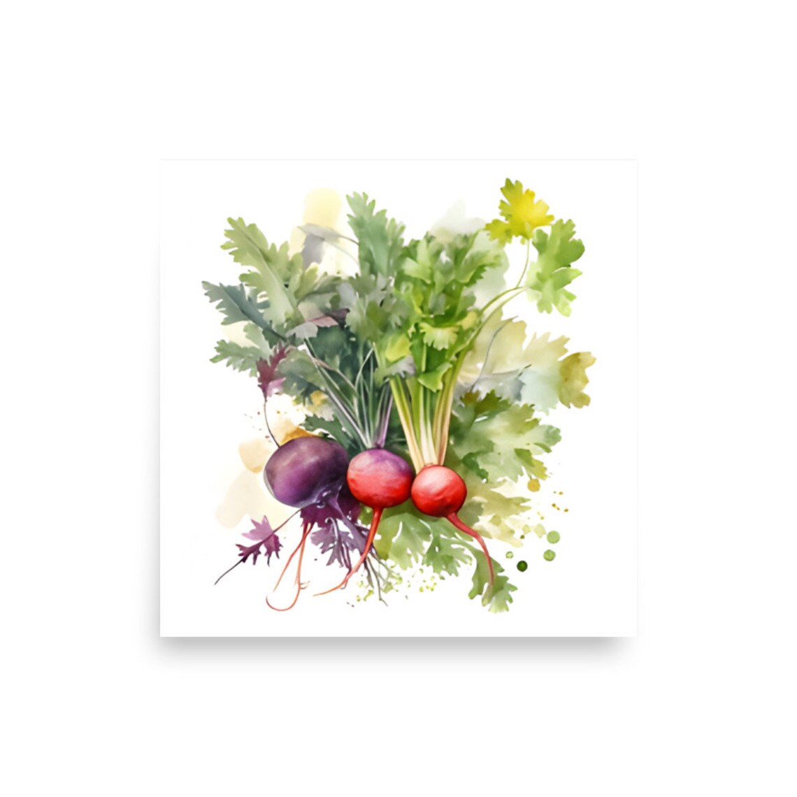 Red Radishes Watercolor Botanical Vegetable Kitchen Art Poster - Image 2