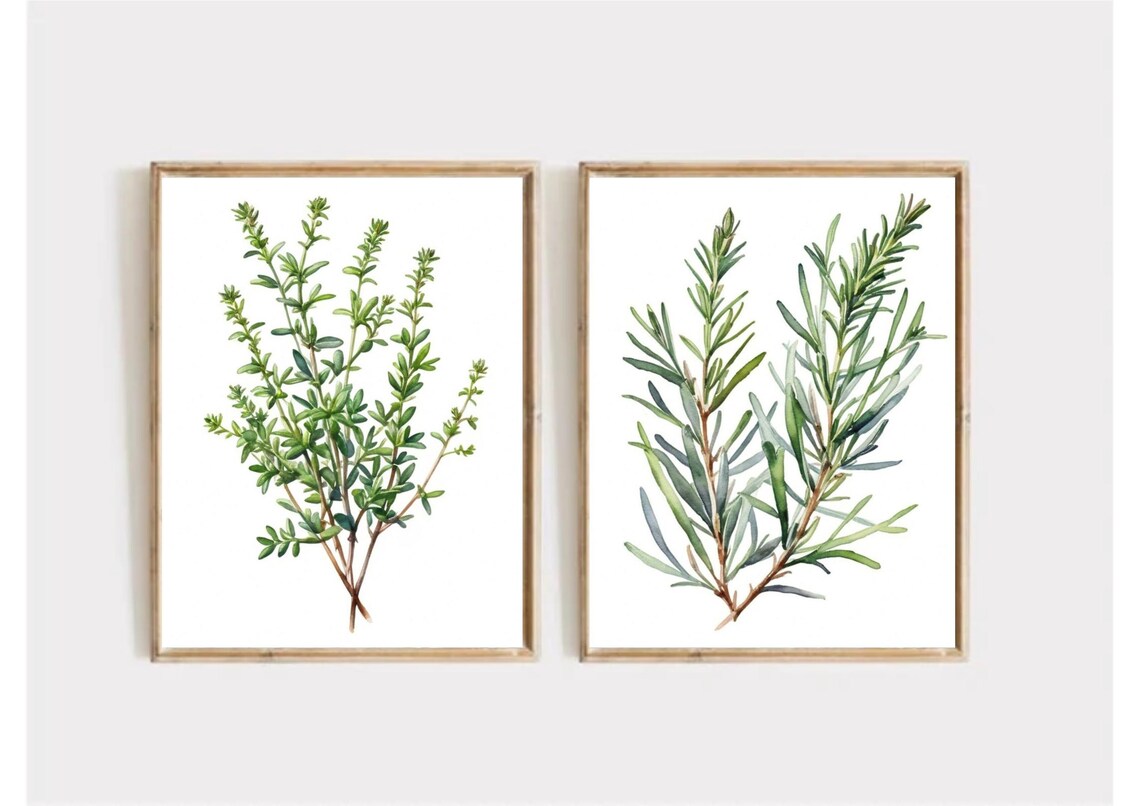 Rosemary Painting Herbs Watercolor Art Print Spices Wall Art Rosemary Still Life Farmhouse Wall Decor Kitchen Still Life Art Green Herbs Art - Image 4