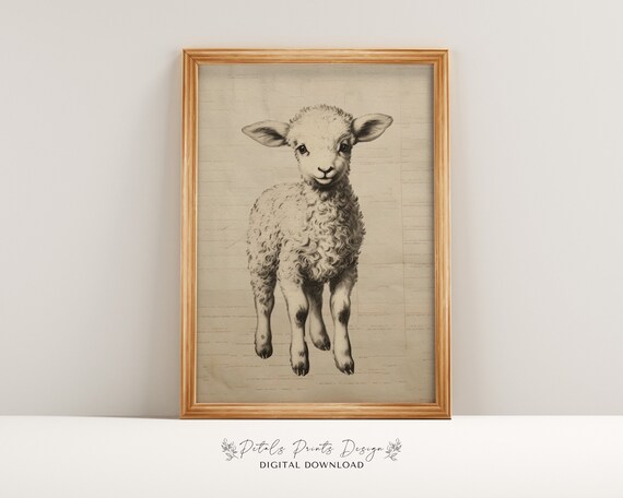 Baby Lamb Ink Sketch on Vintage Book Page Rustic Farm Art Poster