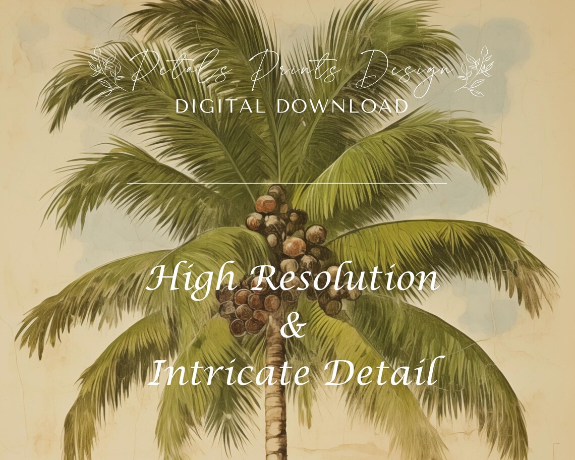Vintage Coconut Palm Tree Botanical Illustration Tropical Plant Poster - Image 3