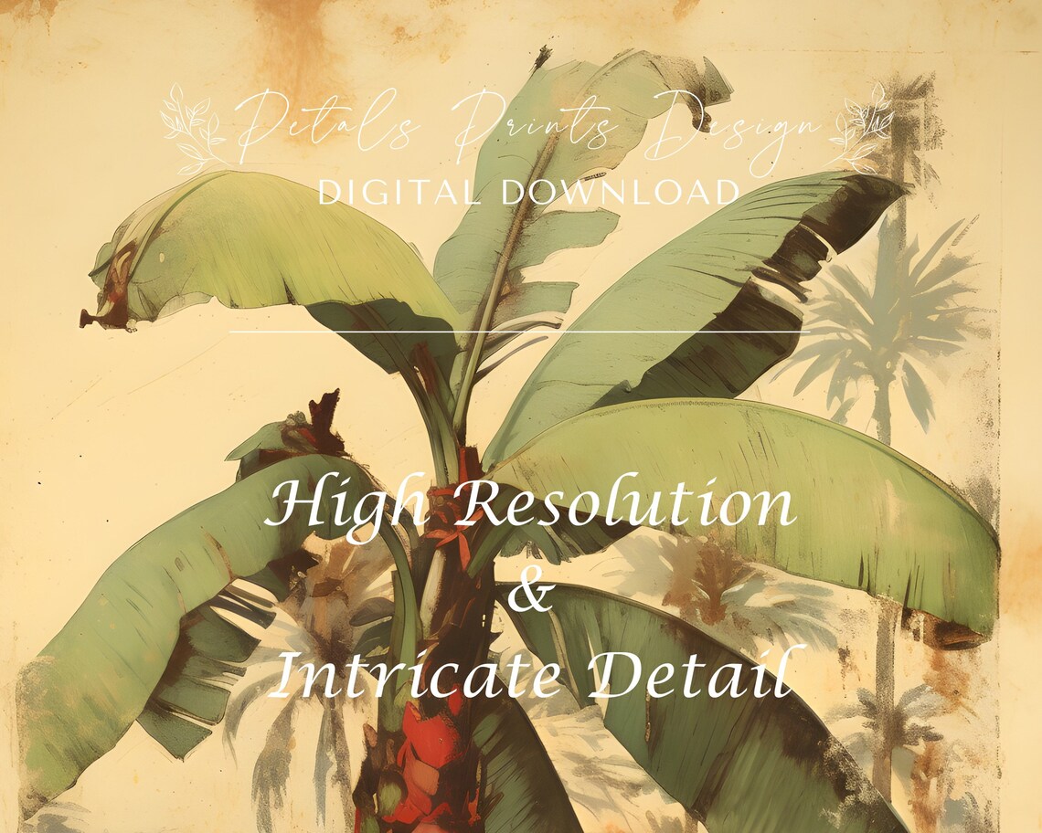 Vintage Banana Plant Red Trunk Tropical Jungle Botanical Art Poster - Image 3