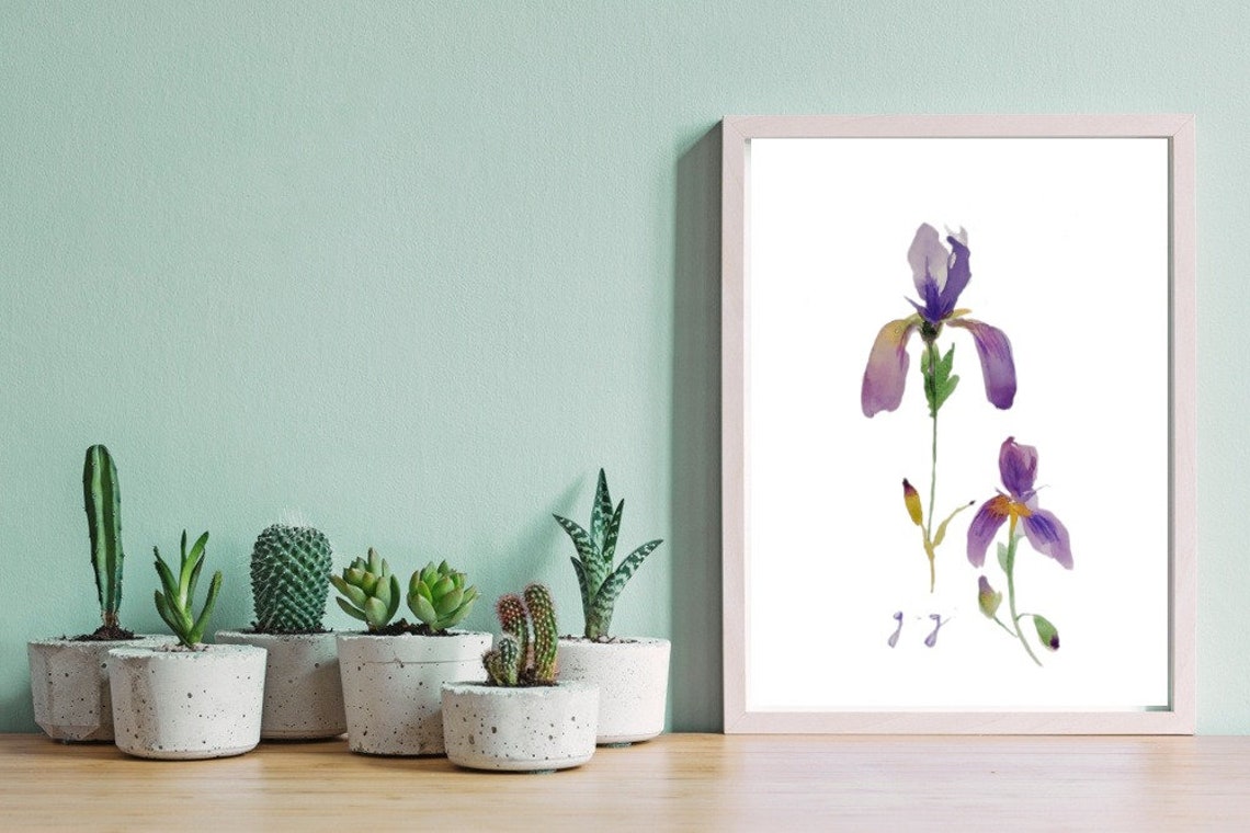 Two Purple Irises Minimalist Watercolor Botanical Art Poster
