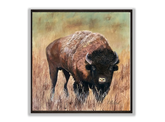 American Bison Standing In Tall Prairie Grass Original Oil Art Poster