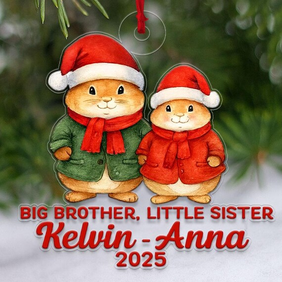 Big Brother Little Sister Kelvin Anna 2025 Sibling Ornament Wall Art