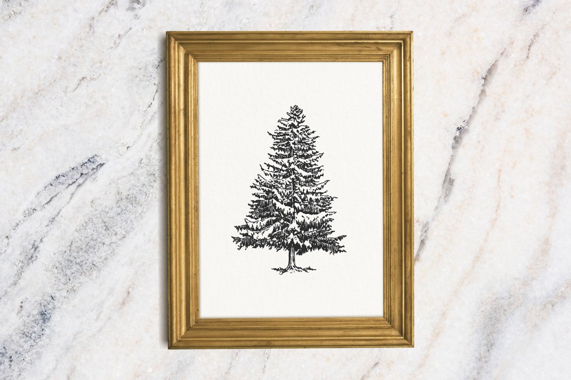 Minimalist Pine Tree Ink Sketch Black And White Winter Art Poster