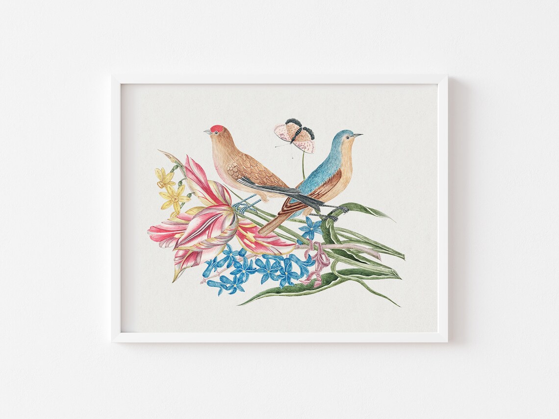 Two Songbirds Tulips Hyacinths Vintage Bird Illustration Antique Print - Image 2