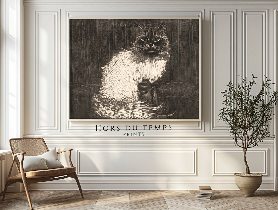 Long Haired Tabby Cat Vintage Engraving Cat Lover Gift Wall Poster - Image 2