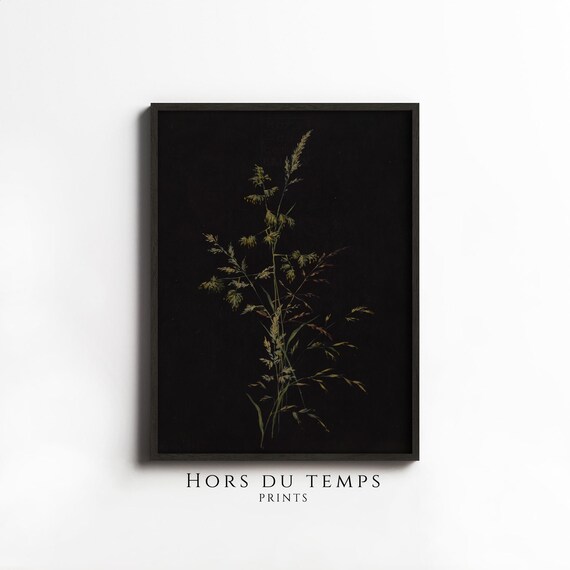 Moody Meadow Grass Painting Botanical Art Antique Farmhouse Rustic Aesthetic Hors Du Temps Prints