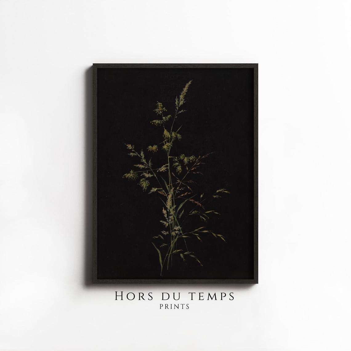 Wild Grass Stems Dark Background Minimalist Botanical Study Wall Art