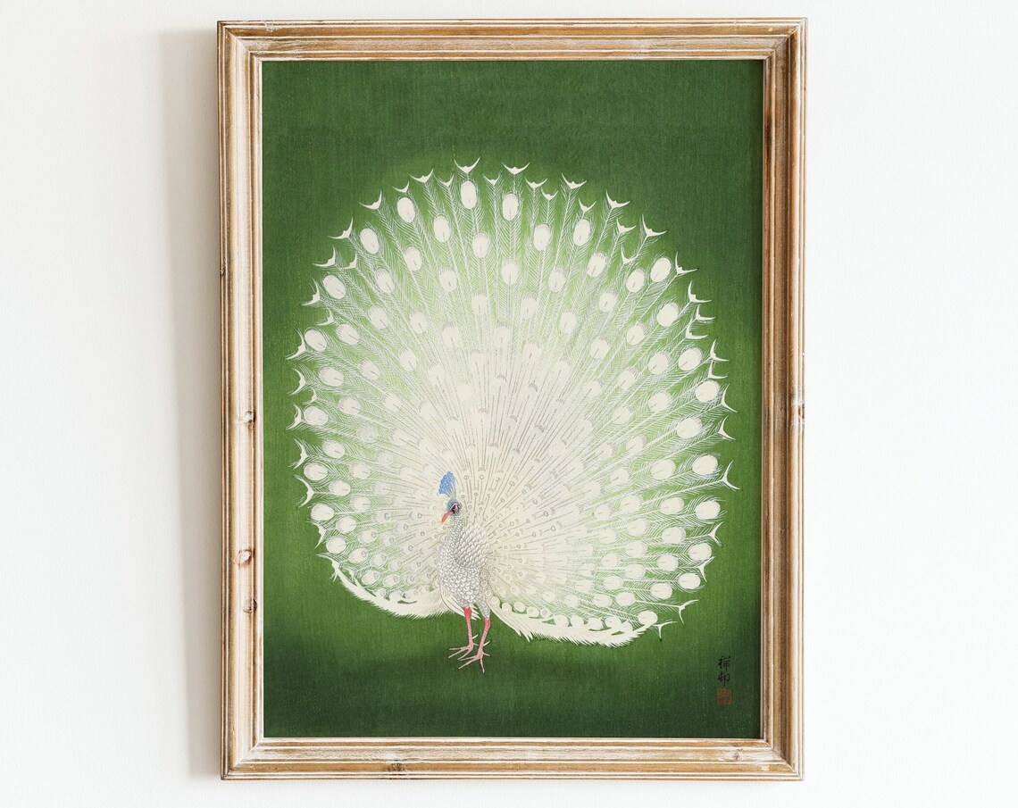 Peacock Painting, Vintage Japanese Illustration