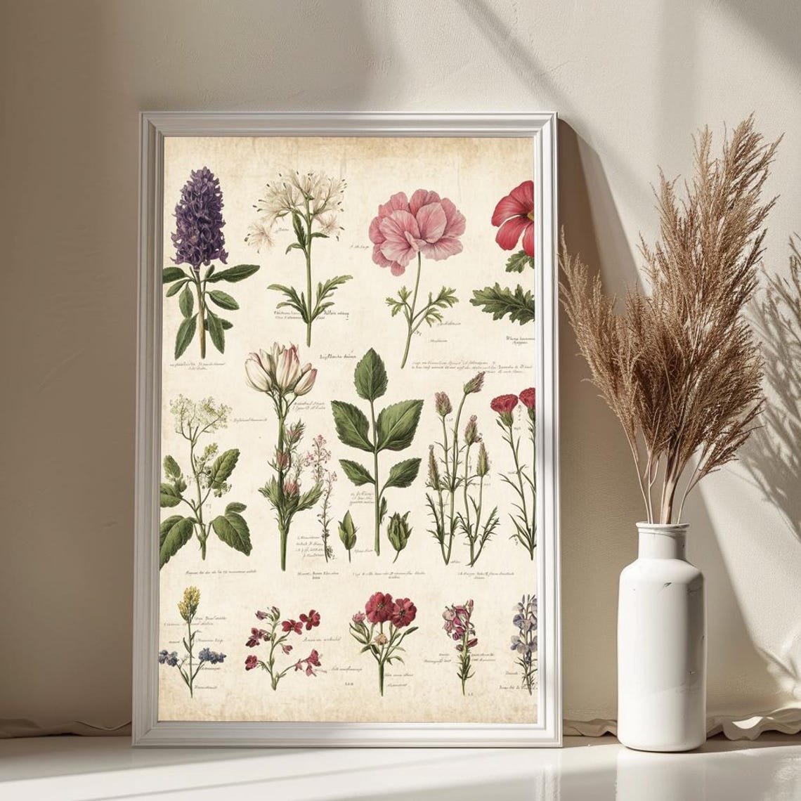 Vintage Botanical Flower Chart Antique Floral Herbarium Poster - Image 4