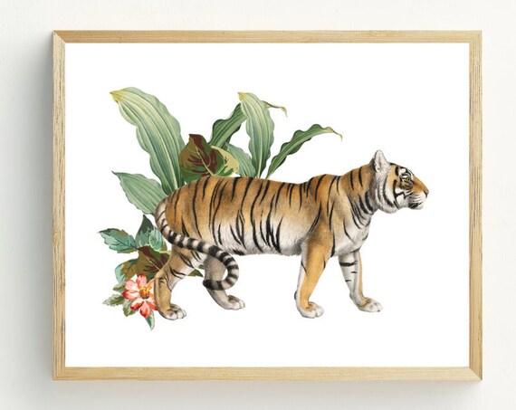 Tiger Walking Tropical Leaves Botanical Illustration Jungle Wildlife Art Print