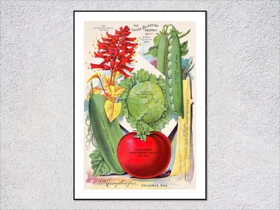 Rustic Orchard Memories Vintage Fruit And Vegetable Poster Rustic Kitchen Wall Art Farmhouse Decor