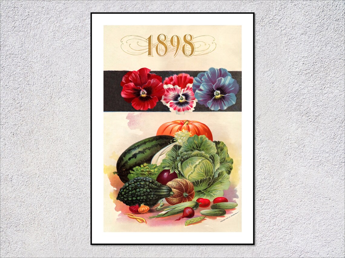 1898 Pansies Vegetables Seed Catalog Pumpkin Watermelon Vintage Poster
