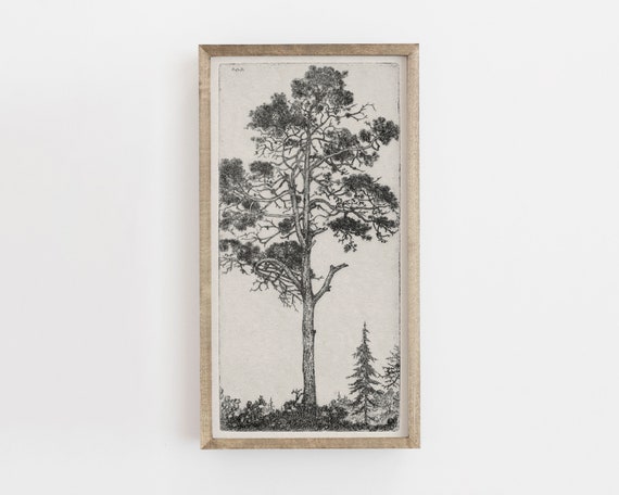 Tree Drawing Sketch Print, Vintage Botanical Art