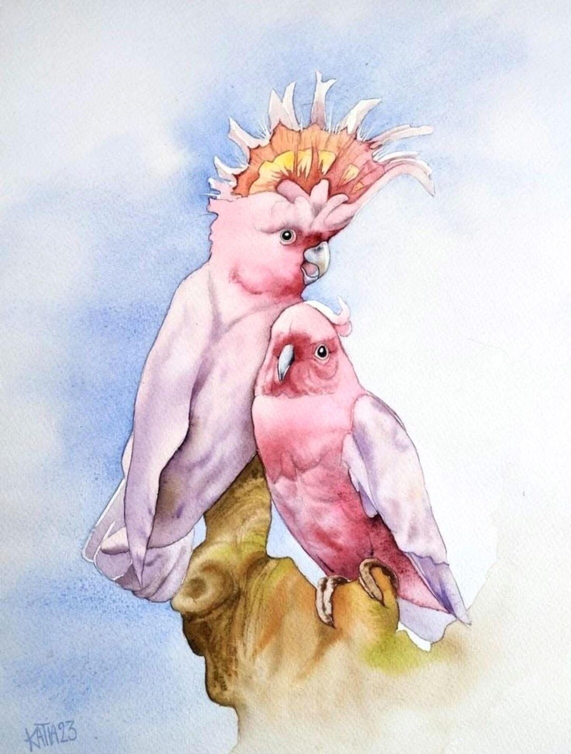 Pink Cockatoo Bird Couple Watercolor Art Print