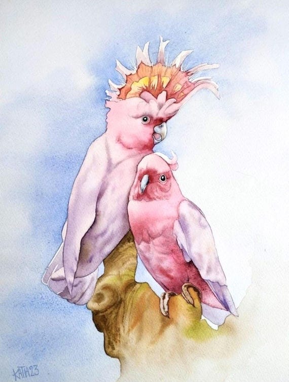 Pink Cockatoo Bird Couple Watercolor Art Print