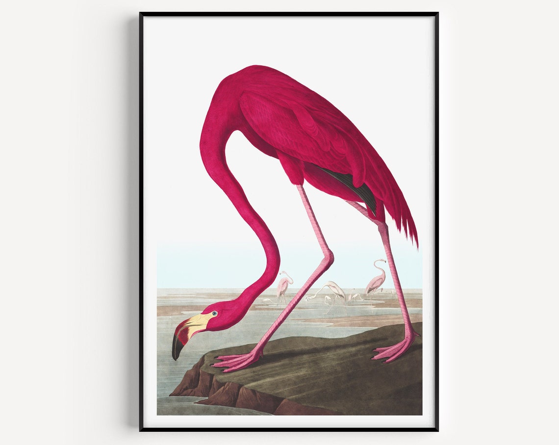 Flamingo Minimalist Modern Art Print