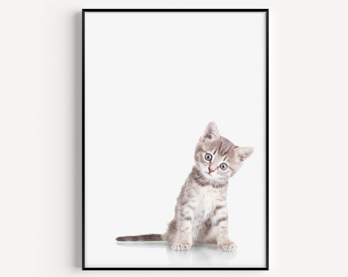 Minimalist Kitten Cat Wall Art Poster Print, Home Decor